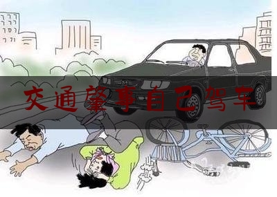 交通肇事自己驾车（女车主撞死人）