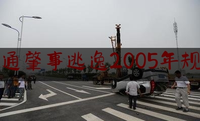 交通肇事逃逸2005年规定（14年前一起交通事故致两人死亡，肇事逃逸14年终落网）