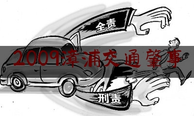 2009漳浦交通肇事（司机驾驶技术好怎么形容）