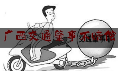 实事专业头条:广西交通肇事不赔偿,遛狗不拴绳赔8万元