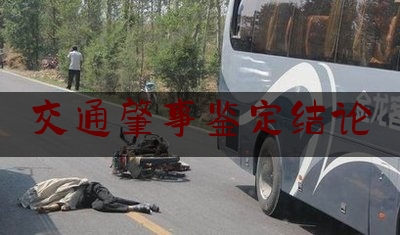 交通肇事鉴定结论（交通事故中因果关系的认定）