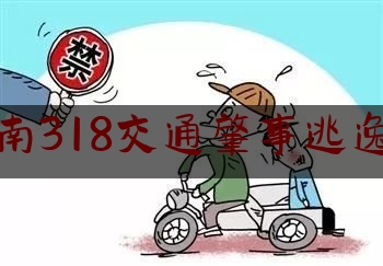 济南318交通肇事逃逸案（辅道逆行怎么处罚）