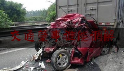 交通肇事谁能调解（交通肇事致死亡 当庭调解获赔偿）