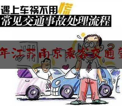 2008年江苏南京乘客交通肇事罪（南京的车祸）