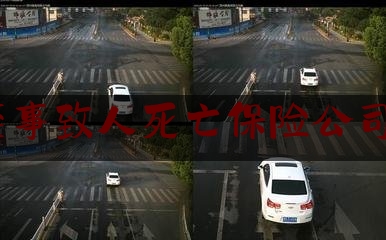 交通肇事致人死亡保险公司赔完6（江苏车祸赔偿标准）