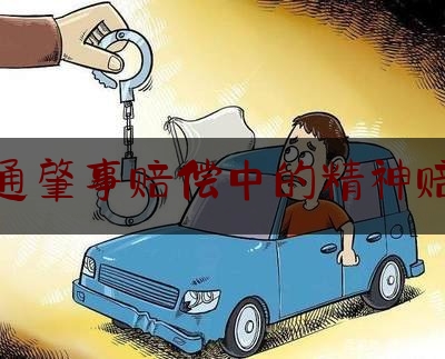 交通肇事赔偿中的精神赔偿（交通事故有无精神损害赔偿?）