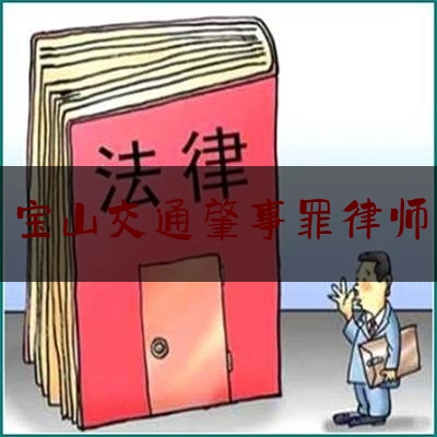 给大家普及一下宝山交通肇事罪律师,蔡娜律师