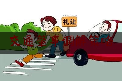 交通肇事调解策略（道路交通事故伤亡人员损害赔偿问题处理指南）