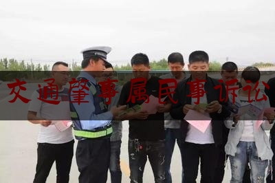 权威专业资讯:交通肇事属民事诉讼,驻马店市政府电子采购商城