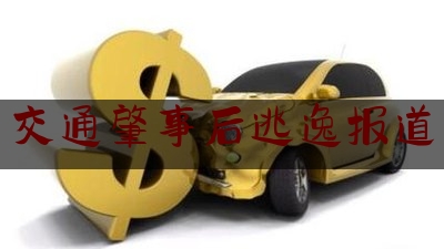 给大伙科普下交通肇事后逃逸报道,原神碑铭的研究搜寻散失的碑文残片