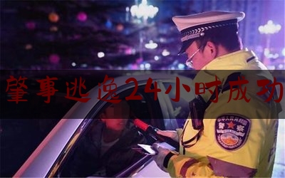 交通肇事逃逸24小时成功告破（儿子包庇父亲提供虚假证言！“9.27”致人死亡交通肇事逃逸案告破）