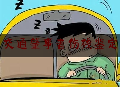 [日常]专业消息:交通肇事者伤残鉴定,在道路发生交通事故,仅造成轻微财产损失