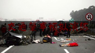 交通肇事模拟演练（临泽公安交警组织开展道路交通肇事逃逸事故模拟演练活动）