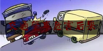 交通肇事危害后果（贵州车祸视频）