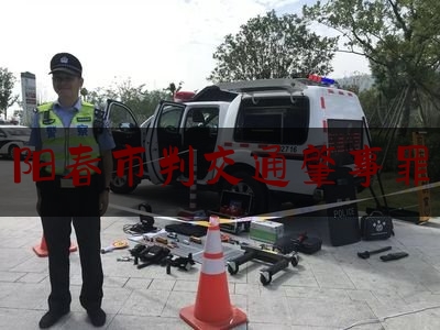 阳春市判交通肇事罪（丈夫开车撞了人,妻子要负责吗?）