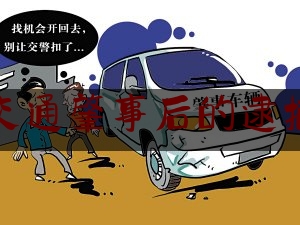 交通肇事后的逮捕（凭祥酒驾撞死三人）