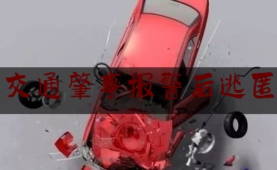 交通肇事报警后逃匿（酒后撞人肇事逃逸怎么处罚）