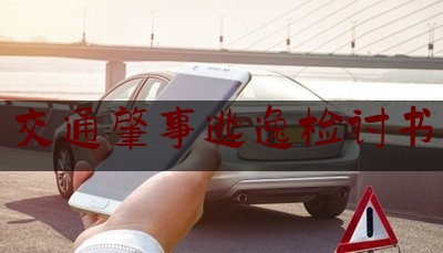 一起来了解一下交通肇事逃逸检讨书,上海抢夺公交车方向盘