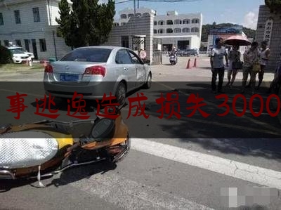 交通肇事逃逸造成损失3000元以上（肇事人逃逸车留下了）