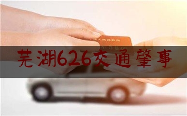 芜湖626交通肇事（续写春天的故事｜安徽“十四五”实施逾六百个重大项目）