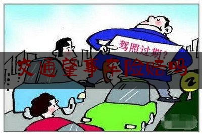 交通肇事车险赔吗（自己车撞自己车,赔不赔）