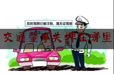 简单说一下交通肇事关押在哪里,河南省电子税务局官网