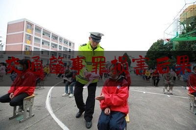 [见解]爆料知识:交通肇事罪损害后果,反恐驾车冲撞处置方案