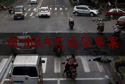 杭州8.4交通肇事案（女司机把油门当刹车致5人亡 杭州“7·30”交通肇事案开庭）