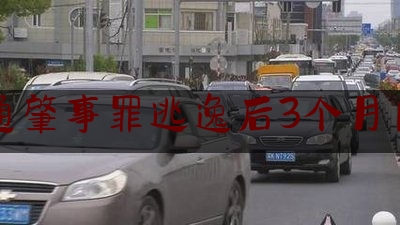 交通肇事罪逃逸后3个月自首（交通肇事逃逸自首怎么处理？）