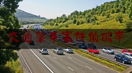 [见解]爆料知识:交通肇事案件侦破率,新宁县公路规划