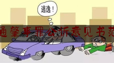 交通肇事罪公诉意见书范文（专家详解“毛志尧交通肇事案”：醉驾超速致人死亡应判刑）