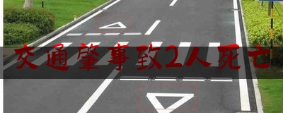交通肇事致2人死亡（巴西圣保罗州长）