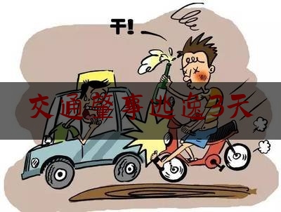 交通肇事逃逸3天（外卖员撞人后 有保险怎么赔付）