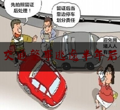 [日常]专业消息:交通肇事逃逸半年后,广西律师收费标准2021年最新规定