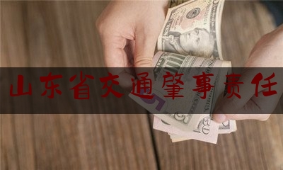 分享新闻消息:山东省交通肇事责任,山东省道路交通事故一体化平台登录