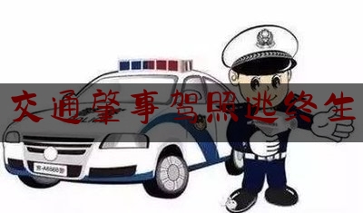 普及一下交通肇事驾照逃终生,北京警车肇事逃逸