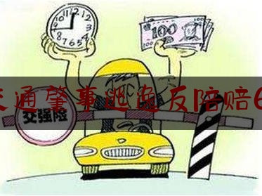 追交通肇事逃逸反陪赔61万（省高院发布道路交通损害赔偿纠纷典型案例）