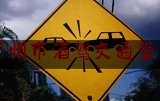 实事专业头条:广州市酒驾交通肇事,广州开车撞人视频