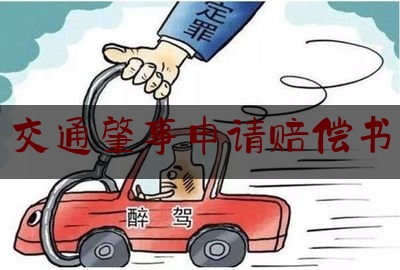 现场专业信息:交通肇事申请赔偿书,旧语新知二重证据攻略