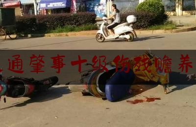 权威专业资讯:交通肇事十级伤残赡养费,交通事故车辆损失赔偿法律依据