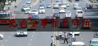 交通肇事罪看守所（高速路上追尾前方事故车致1人死亡 男子因交通肇事罪获刑1年）