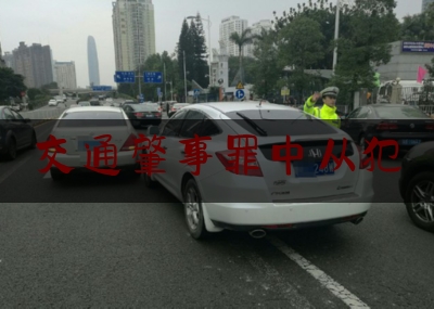 交通肇事罪中从犯（诈骗法律条文）