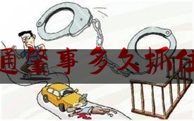 交通肇事多久抓住人（车主必备，交通事故常见处理时限大全！）