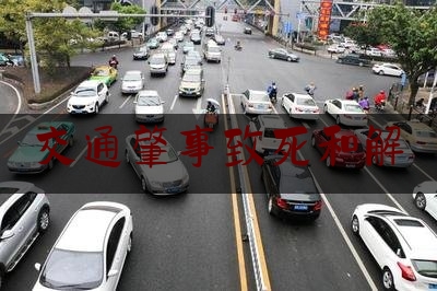 交通肇事致死和解（赔偿160万元，法官耐心调解，两死一伤交通事故终了结！）