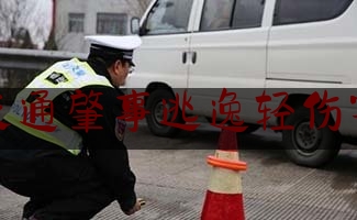 分享看法速递:交通肇事逃逸轻伤害,交通肇事后逃逸的认定