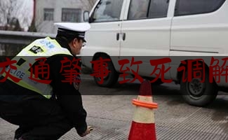 交通肇事致死调解（交通事故致人死亡 法官调解抚慰心伤）