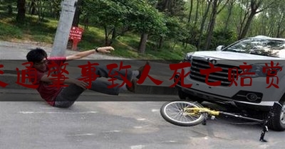 交通肇事致人死亡赔赏6（外卖骑手送餐与路人发生交通事故致人死亡，被判承担12万赔偿金）