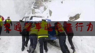 实事专业资讯:交通肇事逃逸者行为,逃逸现象