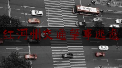 分享新闻消息:红河州交通肇事逃逸,北京朝阳群众举报的明星