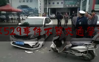 南京529事件不算交通肇事吗（南京调查出轨）